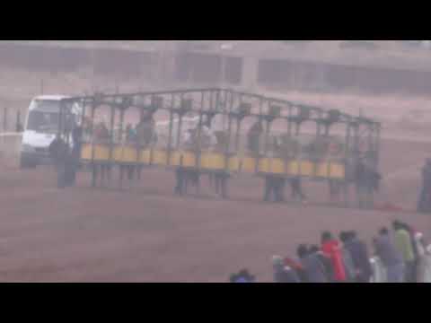 QUE PINGO - Club Hípico Viento Sur Cutral Co- 15-08-21