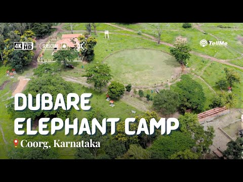 Serene view of Dubare elephant Camp I Coorg I Karnataka