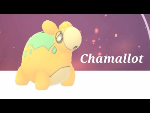 Chamallot de Hoenn évolution Camérupt de Hoenn Pokémon Go #Camérupt #Chamallot #pokemonHoenn