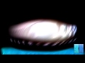 I KILLED C FP