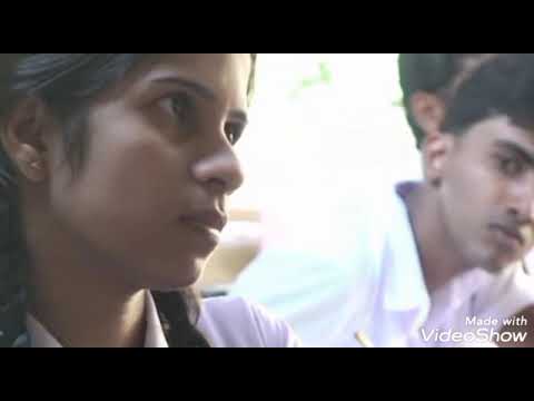 Sudu pata gaume adaraya bandune | සුදු පාට ගවුමේ ආදරය බැදුනේ