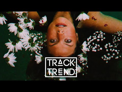 Martin Jensen, MOLOW  - Carry On (Cat Dealers Remix)