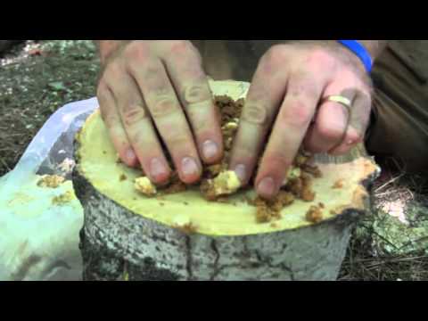 download lagu mp3 mp4 Totum Login, download lagu Totum Login gratis, unduh video klip Totum Login