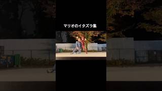 MARIOのイタズラ集#ナニコレ劇団 #ダンス