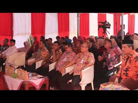 Hormon dan potensi laki-laki Apakah usia mempengaruhi potensi