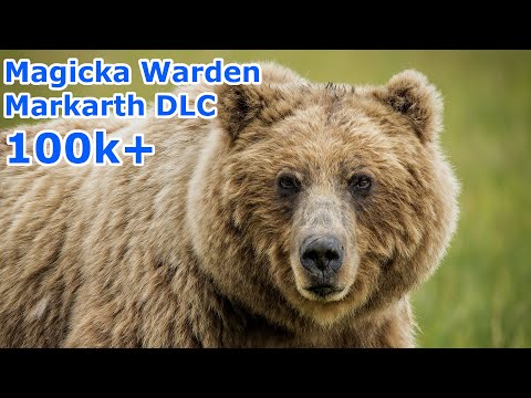 Magicka Warden PVE DoT Build 100k+ ESO Markarth DLC