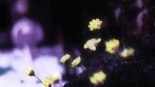 the birthday massacre - the long way home - video contest 2013