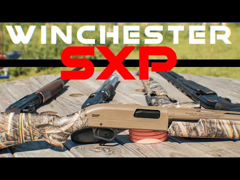 Best Pump Shotgun for the $? Winchester SXP 12ga Pump Shotgun Review