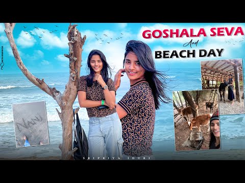 Paradise beach🌊🏝️II సేవా's @sadhanaforest II #pondicherry II Sripriya Iduri II