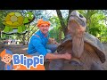 Blippi Visits A Zoo And Learns About Animals Educational Videos For Kids