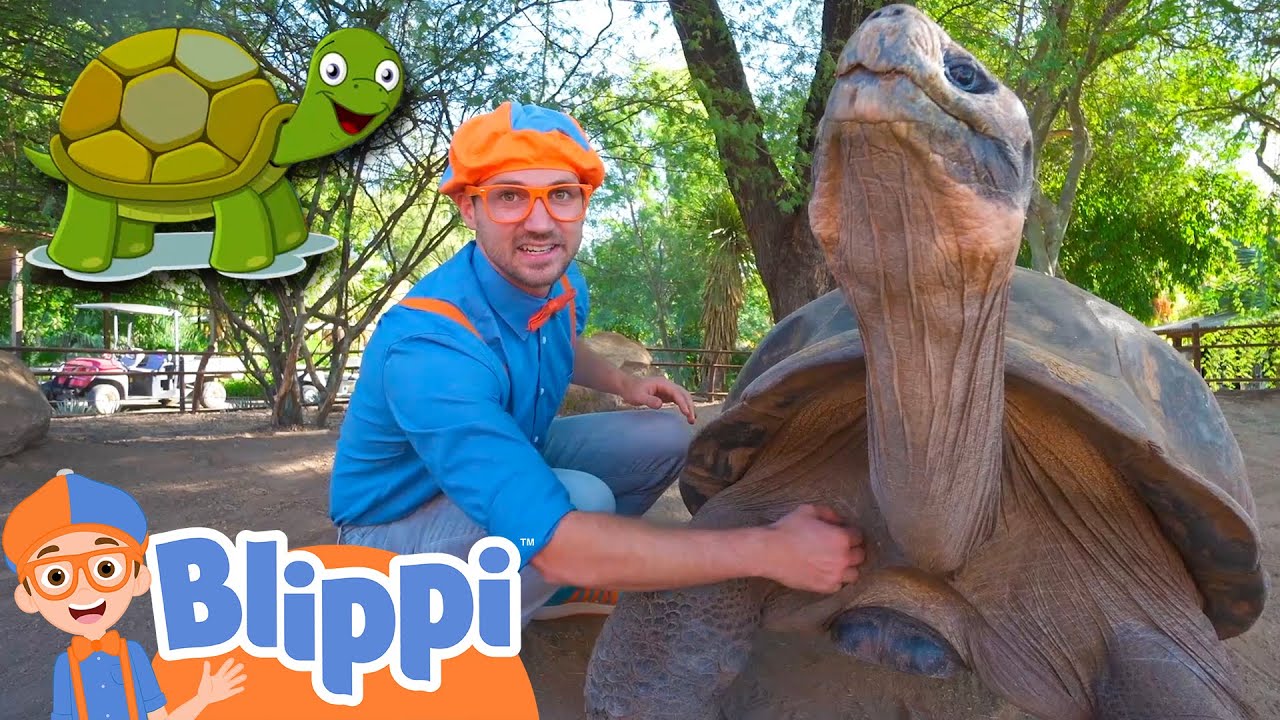 Blippi Visits a Zoo And Learns About Animals! | Educational Videos for Kids