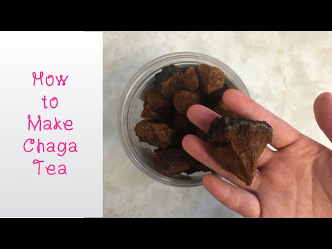 How to Make Chaga Tea