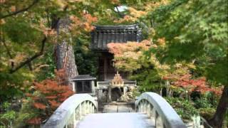 Music video thumbnail preview for Tenniscoats - Mori Wo Nukeru Mori No Umi Ga by Tenniscoats