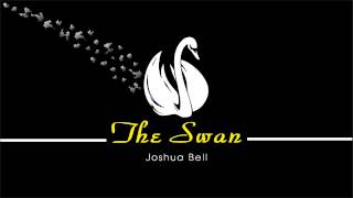 Download lagu The Swan mp3