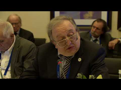 WPC2017 Parallel Workshop 4 - Alexander Panov