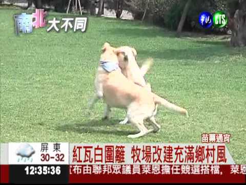 牧場變寵物餐廳 鄉村風吸引飼主