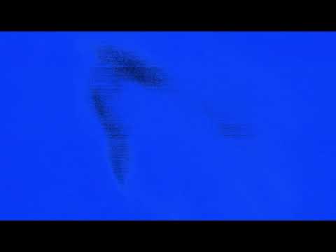 aye6 - LET ME GO (p. 6) (Visualizer)