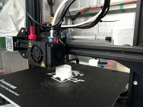 3d Printed Gopher Timelapse