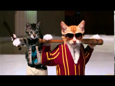 The Easy Access Orchestra - PI