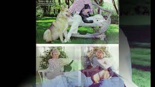 Doris Day - More.  Dedicated to Doris and her furry friends.