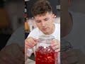 Korean Strawberry Syrup