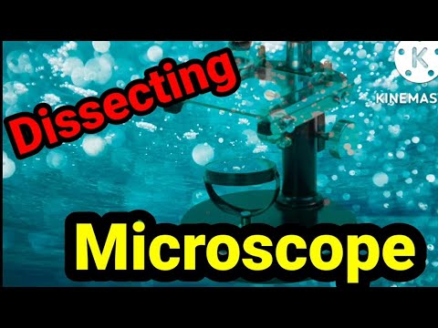 Dissecting microscope with mirror illumination (10x-20x magn...