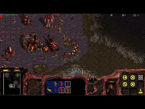 StarCraft: Remastered Co-op Campaign BW Zerg Mission 1 - Vile Disruption