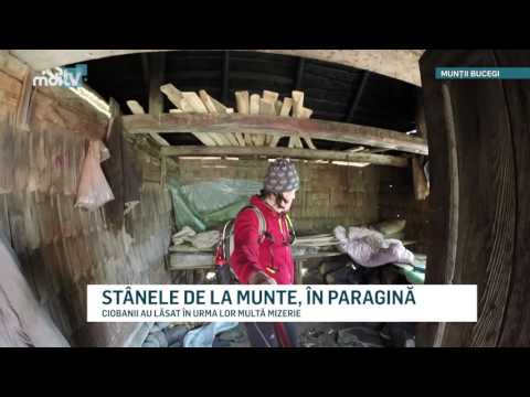 STANELE DE LA MUNTE IN PARAGINA - MDI TV