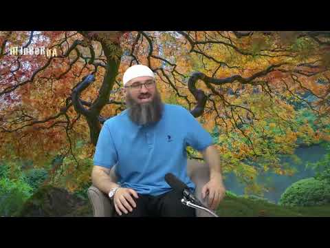 Da li je vitr namaz obavezan ili je to dobrovoljni namaz? - Elvedin Pezić