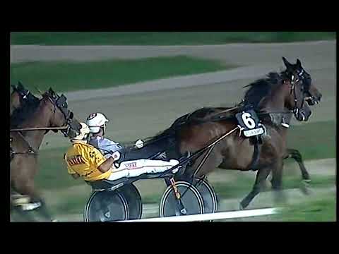 Napoli Trotto 24/08/2022 - 5ª corsa