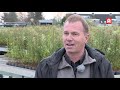 Peter Bontekoe stopt in 2022 als raadslid