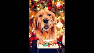 Lionel Richie - Joy To The World
