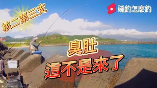 核二第三支 尋找臭臭之旅 還不錯喔! #磯釣怎麼釣