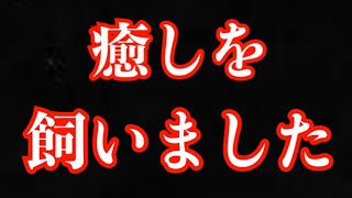 癒しを飼いました！