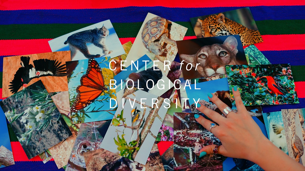 Support The Center for Biological Diversity