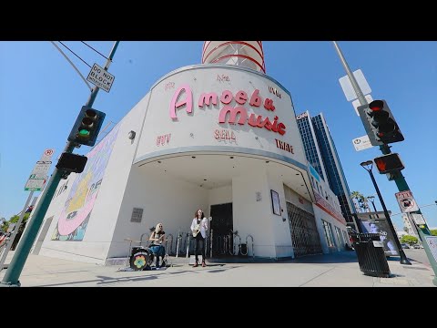 Movie Club - "Driftwood" (Official Music Video)