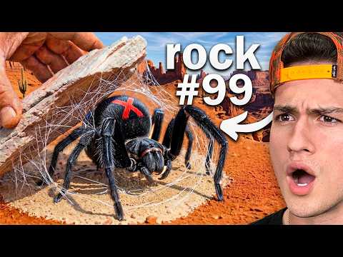 Flipping 100 Rocks in Australia