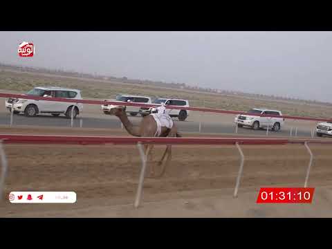  ش 8 (مكرم) لـ خليفه علي بن مروشد 2:59 ، شارة صندوق الحلفه 2026/08/17 فطامين سويحان