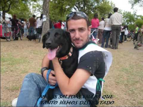 Sidi, nunca caminarás solo