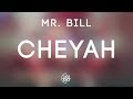 Mr. Bill - Cheyah