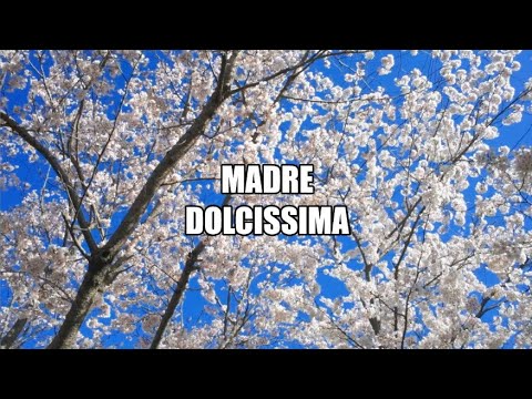 Madre Dolcissima | Gen Rosso
