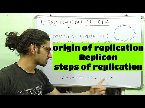 origin of replication, Replicon, steps of replication