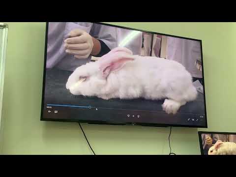 Dược-TH- bài 1: phân tích t dụng của Éter e estricnina; bài 4: td cafein e cloralhydrat trên tktw