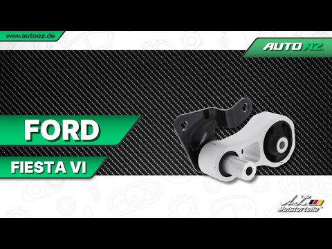 Ford Fiesta VI – Neigungsschutz