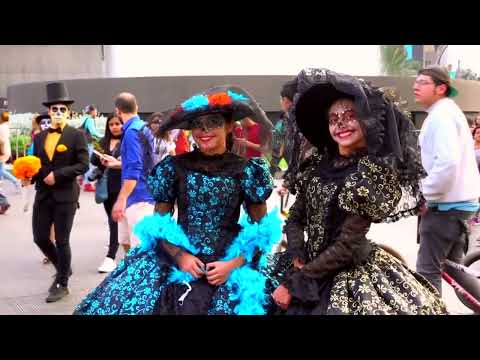 Mistol Team - Halloween // ARGENTINA