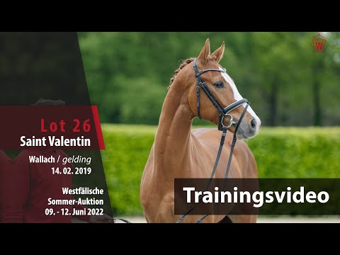 Sommer-Auktion Training Lot 26 Saint Valentin Wallach v. Sir Heinrich - Fürst Piccolo