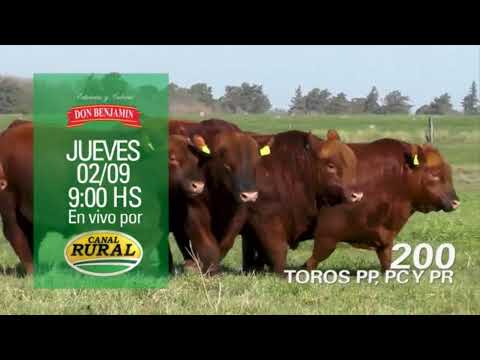 Próximo Remate de Estancias y Cabaña Don Benjamín - Jueves 2 de Septiembre