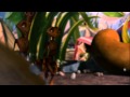 AntZ Its Insectopia HD
