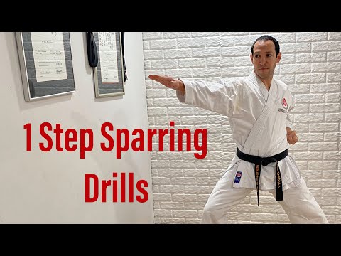 Karate workout: one step sparring drills