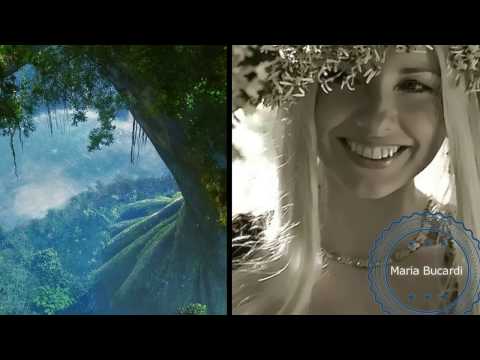 466. Łączę się z Drzewem Ziemia i Niebem - z serii herbata z Marią Bucardi